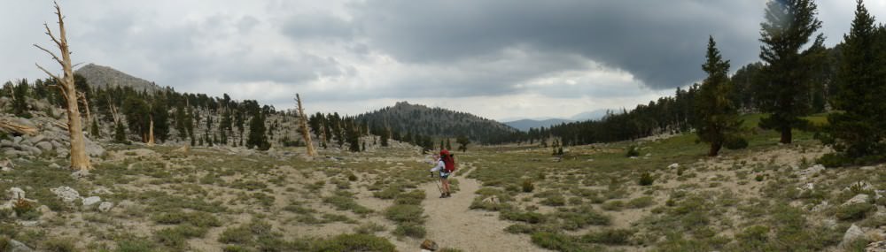 Seth Foldy's health.e.volution