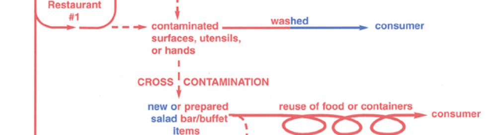 Seth Foldy's health.e.volution